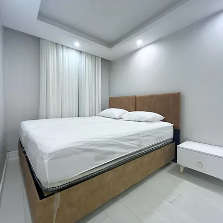 Flex Dikilitas * Istanbul
