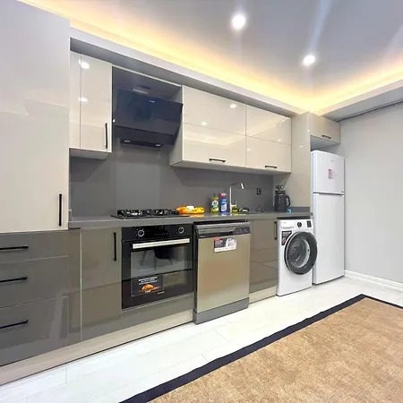 Flex Dikilitas Apartment